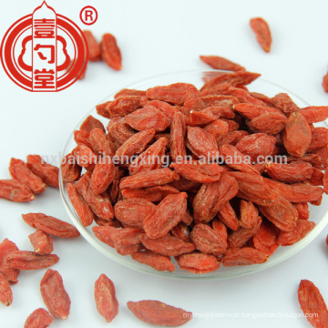 Berry goji china grossista distribuidor frutas secas ningxia goji berry com baixo preço